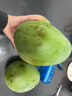 京鲜生 攀枝花凯特芒果 净重9斤 单果500g+ 生鲜水果 源头直发 实拍图
