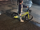 凤凰儿童自行车单车2-3-4-6-9-10岁男孩童车中大童女孩小孩宝宝脚踏车 【爆】春意绿-碟刹 18寸 实拍图