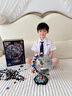 星涯优品积木拼装地球仪空间站模型科教儿童玩具小学生6-12岁男孩生日礼物 实拍图