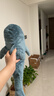 宜家（IKEA）BLAHAJ布罗艾鲨鱼抱枕公仔玩偶生日毛绒玩具网红睡觉可爱 幼鲨55 cm 实拍图