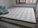 华莱德床垫席梦思弹簧床垫1.8x2米乳胶椰棕垫加厚单人双人租房经济型款 羊绒+独立九区圆簧【20公分】 900mm *1900mm 实拍图