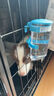 波奇多 滚珠式饮水器350ml挂式宠物喝水猫狗航空箱水壶笼子喝水器不湿嘴 实拍图
