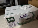 金典高钙低脂纯牛奶250ml*12盒/箱 脂肪含量减半 礼盒装 实拍图