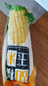 正宗新鲜东北黄糯玉米绿色食品真空包装加热即食减肥减脂代餐早餐 5根/箱 实拍图