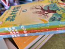 森林报春夏秋冬 全四册 正版原著维.比安基 彩图美绘版小学生三四五六年级课外阅读书籍 实拍图