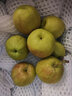 锁季新疆库尔勒香梨现摘新鲜水果脆甜香妃全母梨孕妇水果春节礼盒送礼 净重8斤精选小果 单果80-100g 实拍图
