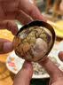 活珠子鸡蛋胚胎麻辣毛蛋13天新鲜钢化蛋五香新鲜即食生鲜 活珠子4枚五香味 实拍图
