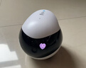 enabotEBO SE全屋移动监控摄像头 远程遥控家用异地老人宠物猫咪摄像头ebo机器人 EBO SE【64G内存】 实拍图