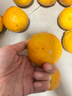 泰汇吃四川爱媛38号果冻橙 新鲜当季水果柑橘桔子时令 5斤（70-75MM）精选特大果净4.5 实拍图