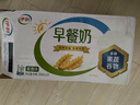 伊利11月新货早餐奶核桃/麦香味牛奶250ml*24盒学生营养早餐整箱 【8月产】麦香味250*24盒 实拍图
