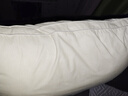 颈安 NeckSafe/全棉枕头枕芯纯棉面料防污渍酒店枕学生宿舍护颈枕棉蒲 三防-高枕(升级/防污款) A类 单只 实拍图