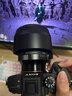 适马（SIGMA） Art 适马85mm F1.4 DG DN 全画幅微单 大光圈定焦镜头人像镜头 索尼E口【送主图配件】 官方标配（京东补贴专属） 实拍图