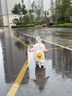 猪爸爸儿童雨衣男童3-6岁幼儿园女童宝宝中小童上学专用全身防水雨披黄L 实拍图
