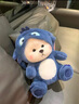 婴果小岛变身小熊公仔玩偶陪睡觉娃娃毛绒玩具抱枕生日礼物女生送女友朋友 蓝色变身小熊【帽子可脱】 45cm-50cm 实拍图
