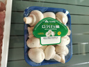 【绿色认证】鲜美白蘑菇230g 实拍图