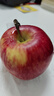 粤迎新疆冰糖心苹果新鲜时令水果脆甜丑苹果生鲜孕妇水果整箱产地直发 5斤精选装【脆甜多汁】净4.5斤 实拍图