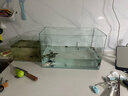 高清热弯浮法透明玻璃鱼缸客厅家用造景装饰生态中小型生态金鱼缸 热弯鱼缸-简易升级套餐 长50*宽27*高30cm 实拍图