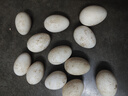 百世富泽（BAISHIFUZE）【百世富泽】黄河滩大鹅蛋新鲜正宗土鹅蛋农家自养孕妇超大鹅蛋 12枚90-120克 实拍图