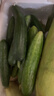 京喜加新鲜无刺水果小黄瓜小青瓜脆甜荷兰脆嫩生吃黄瓜蔬菜 水果黄瓜 2斤 带箱活动 实拍图