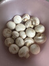 白蘑菇230g 实拍图