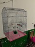 獒少保鸟笼鹦鹉专用鸟笼大号家用八哥鹦鹉笼子金属电镀加粗豪华鸟别墅 电镀银基础套餐 大号56*32*31cm 实拍图