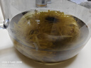 艺福堂菊花茶 精品金丝皇菊50大朵安徽黄山特独立包装养生级搭金银花 实拍图