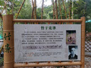 啄木鸟（TUCANO）夏季新款棉麻连衣裙文艺妹纯色大摆裙宽松V领亚麻中袖A字长裙气质 卡其色 M 【95-120斤】 实拍图
