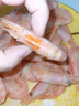 禧美海产 头籽北极甜虾净重3斤 90/120规格 95%头籽 MSC认证 海鲜水产 实拍图