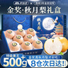 四叔公果蔬秋月梨礼盒装【JD/顺丰-多地次日达】高端水果礼盒装中秋礼品送礼 【限定·尊享礼盒】8枚装 | 品质臻享｜配手提袋 8S【升级黄金甜】特级果｜300g+ 实拍图
