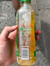 可口可乐淳茶舍茶饮料纯茶饮料 回甘冷萃茶 迪丽热巴代言新旧随机临期品 绿茶冷萃480ml*12瓶 实拍图