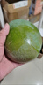 京鲜生 广西生吃大青芒特大果4.5斤装单果600g起生鲜水果源头直发 实拍图