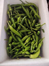 【顺丰速运】湖南樟树港辣椒正宗樟树辣椒樟树薄皮小青椒新鲜蔬菜 3斤【正宗樟树港辣椒】 实拍图