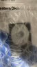 西部数据（WD）台式机械硬盘 WD Blue 西数蓝盘 2TB 7200转 256MB SATA DIY装机电脑硬盘 3.5英寸 WD20EZBX 实拍图