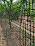 界图 塑料网格防护养殖养鸡围栏网玉米网围栏安全网防护网格护栏围网 1.5米高+3厘米孔+扎带 2.3mm厚(50米/卷)【简单防护】 实拍图