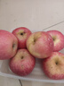 京鲜生 山东烟台红富士苹果 5斤装单果80-85mm 生鲜水果 源头直发 包邮 实拍图
