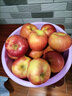 阿克苏苹果新疆阿克苏冰糖心苹果 时令苹果水果 丑苹果红富士 彩箱礼盒大果70-85mm净重8.5斤+ 实拍图