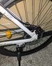 凤凰上海凤凰山地车自行车男士女式学生成人变速宽胎越野公路赛单车 【钢架/全套竞速轴承】条轮消灰 26寸30速【建议身高158-188cm】 实拍图