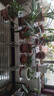 盈姿 花架不锈钢防腐大花架阳台铁艺多层花架子室内外定制多肉阶梯 加宽三层【长150cm】3腿 实拍图