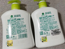 滴露（Dettol）洗手液茉莉绿茶清香500g*2 儿童洗手液家庭抑菌消毒 迪士尼 实拍图