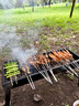 乐优佰易户外烧烤架 木碳烧烤炉家用烤炉便携可折叠碳烤架 露营烤肉架 实拍图