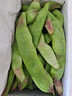 京鲜生山东新鲜油豆角1.8斤装新鲜蔬菜源头直发包邮 实拍图