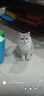 小熊（Bear）【UVC除菌】空气加湿器家用 母婴专用卧室静音除菌大雾量 桌面小型空调加湿器国家补贴JSQ-Z50G2 实拍图