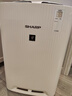 夏普 （SHARP）空气净化器滤网滤芯 FZ-BB60W1X 适用BB60\WH70\WG605\CH70\WB6 加湿网（无孔）+FZ-BB60W1X原机滤网 实拍图