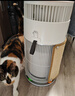 霍尼韦尔（Honeywell）宠物空气净化器吸猫毛除过敏源猫猫搭子 猫毛净化器杀菌消毒除异味【家电国家补贴】KJ360F-C22W 实拍图