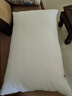 博洋家纺枕头芯可水洗全棉刺绣单人软枕芯低枕单个装 莲仪48*74cm 实拍图