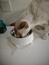 HELLOJOY不锈钢宠物食盆狗碗猫狗碗食盆水粮两用宠物碗喂食器 白色 实拍图