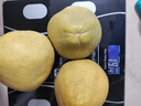 闽农语果正宗福建度尾文旦柚现摘当季新鲜柚子过节礼盒送礼红心蜜柚子 单果约1.3斤丨5斤精选装丨网袋装 团购/售后详询客服 实拍图