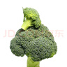 香菇约300g 实拍图
