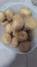 京喜加新鲜黄心土豆农家自种黄皮马铃薯黄心洋芋新鲜蔬菜 5斤 实拍图