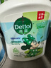 滴露（Dettol）洗手液茉莉绿茶清香500g*2 儿童洗手液家庭抑菌消毒 迪士尼 实拍图